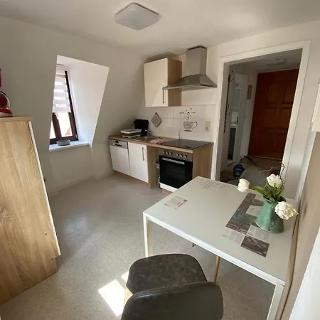 公寓 Am Alten Stadtgefaengnis 萨勒河畔瑙姆堡